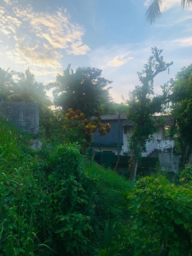 Jungle City Hostel Ґалле Екстер'єр фото